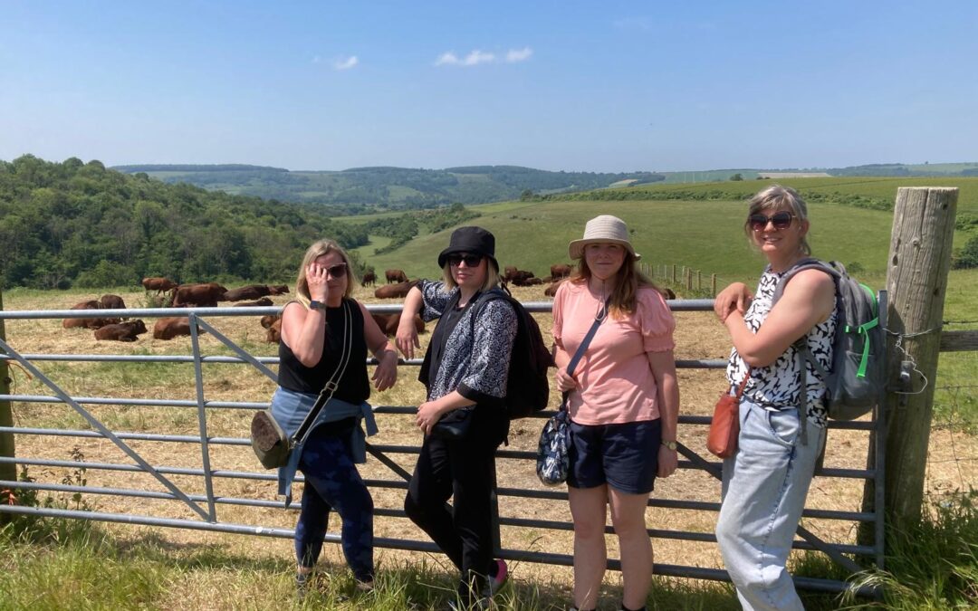 Best Guided Group Walking Tour: Explore, Connect & Discover Together